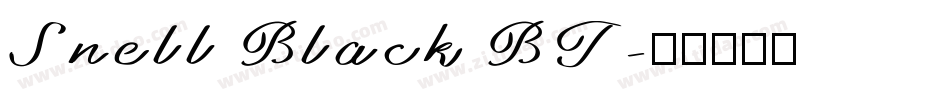 Snell Black BT字体转换